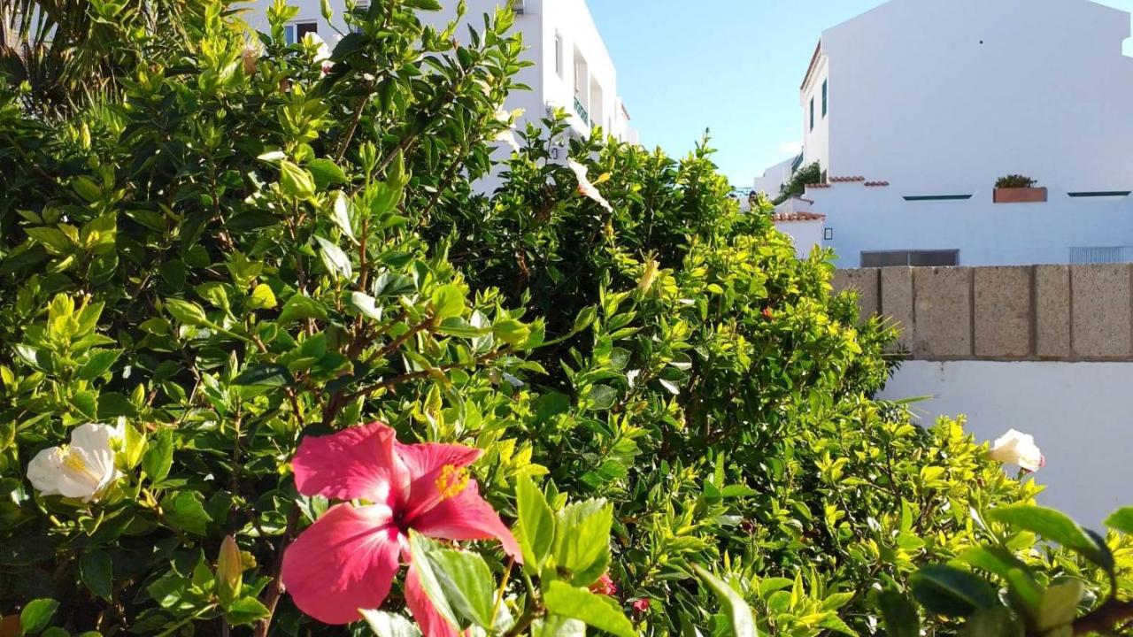 Parque Don Jose, Casa Antonella Коста-дель-Силенцио Экстерьер фото